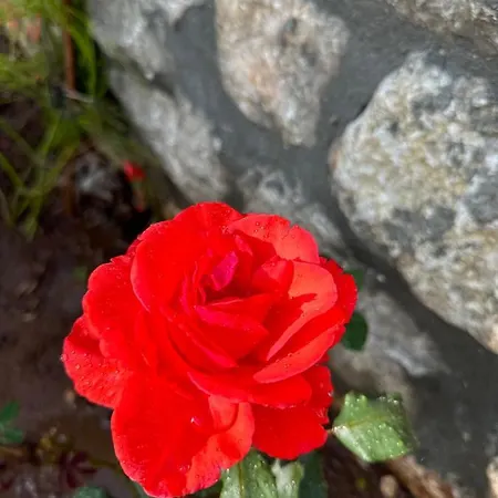 Sevimli Evler Orhaniye 2 Prázdninový dům Marmaris