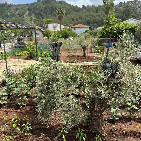 Sevimli Evler Orhaniye 2 *